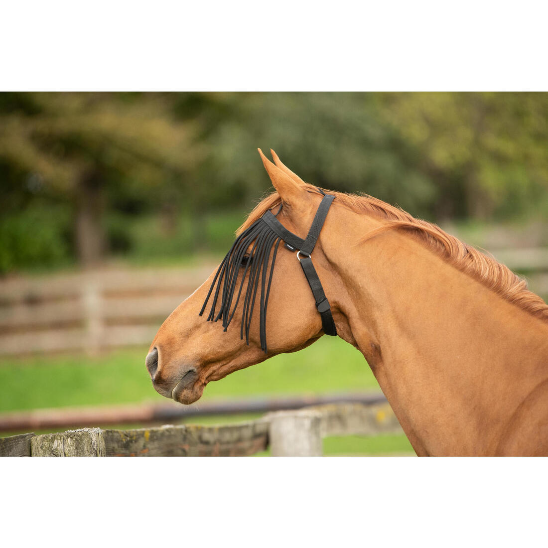 IMG_8600220_5