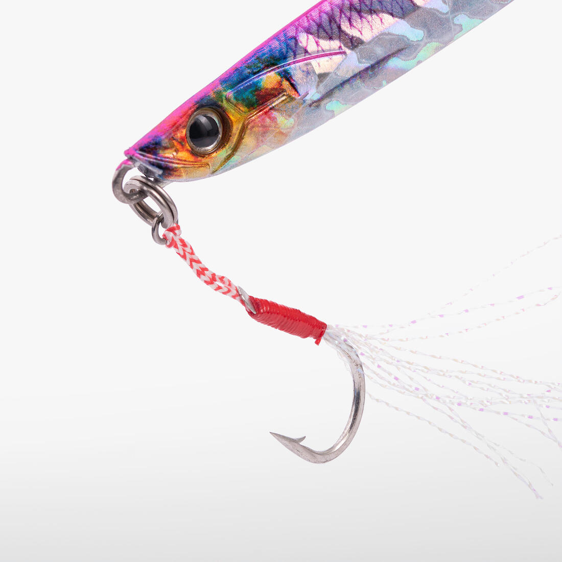 IMG_2643013