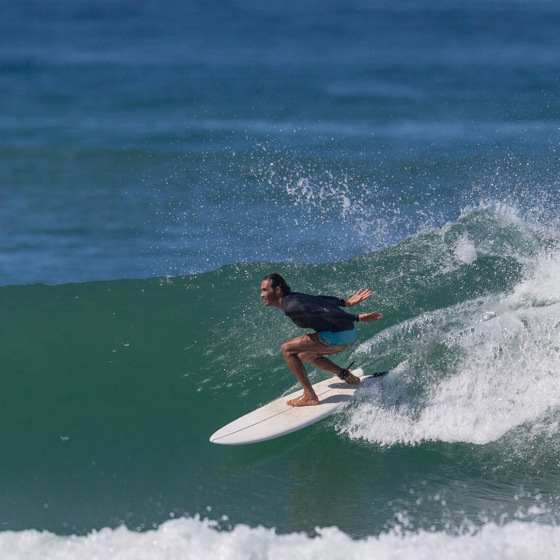IMG_8640314_2