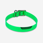 vert néon fluo