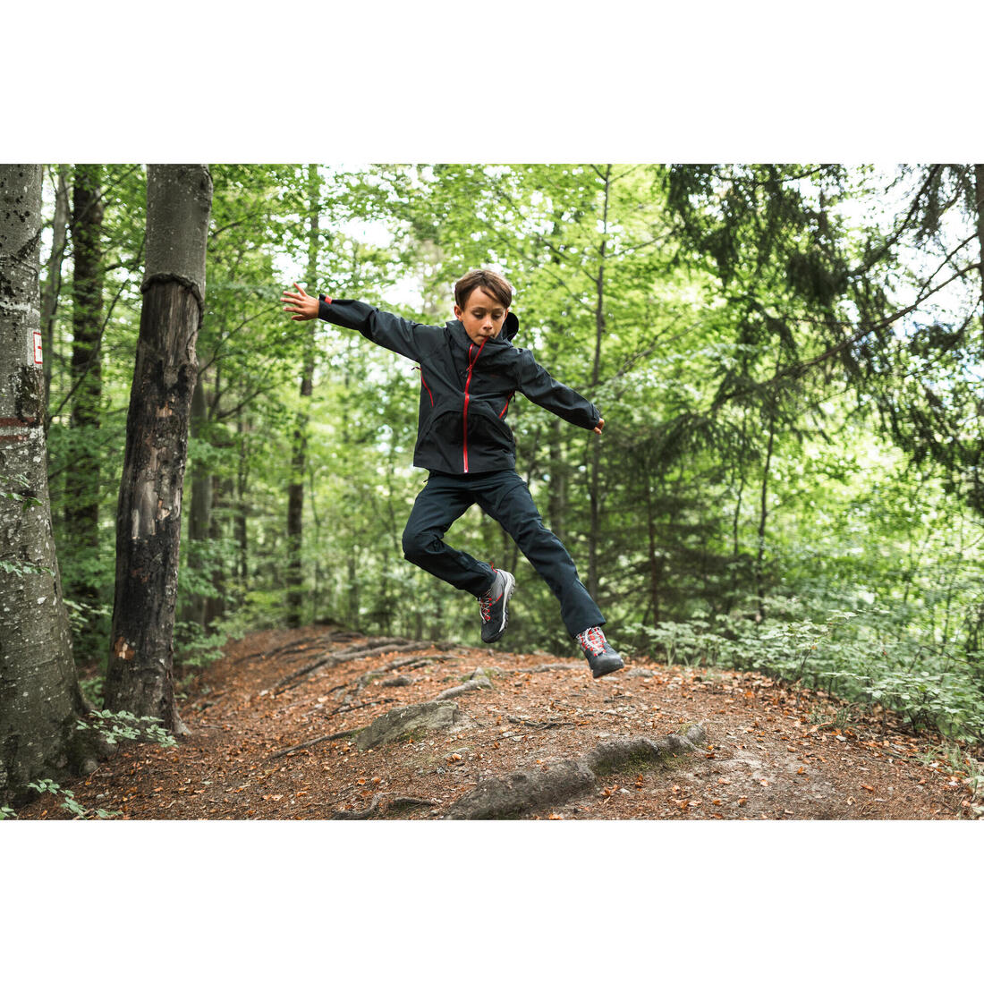 IMG_8586203_3