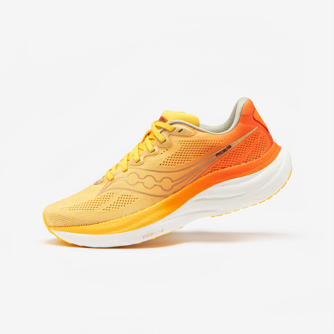 IMG_9000219_1