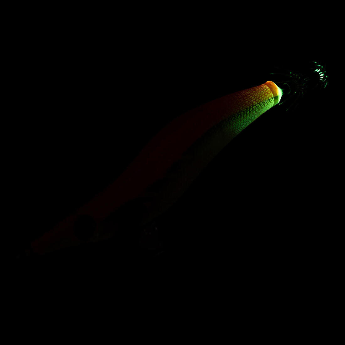IMG_8640170_5