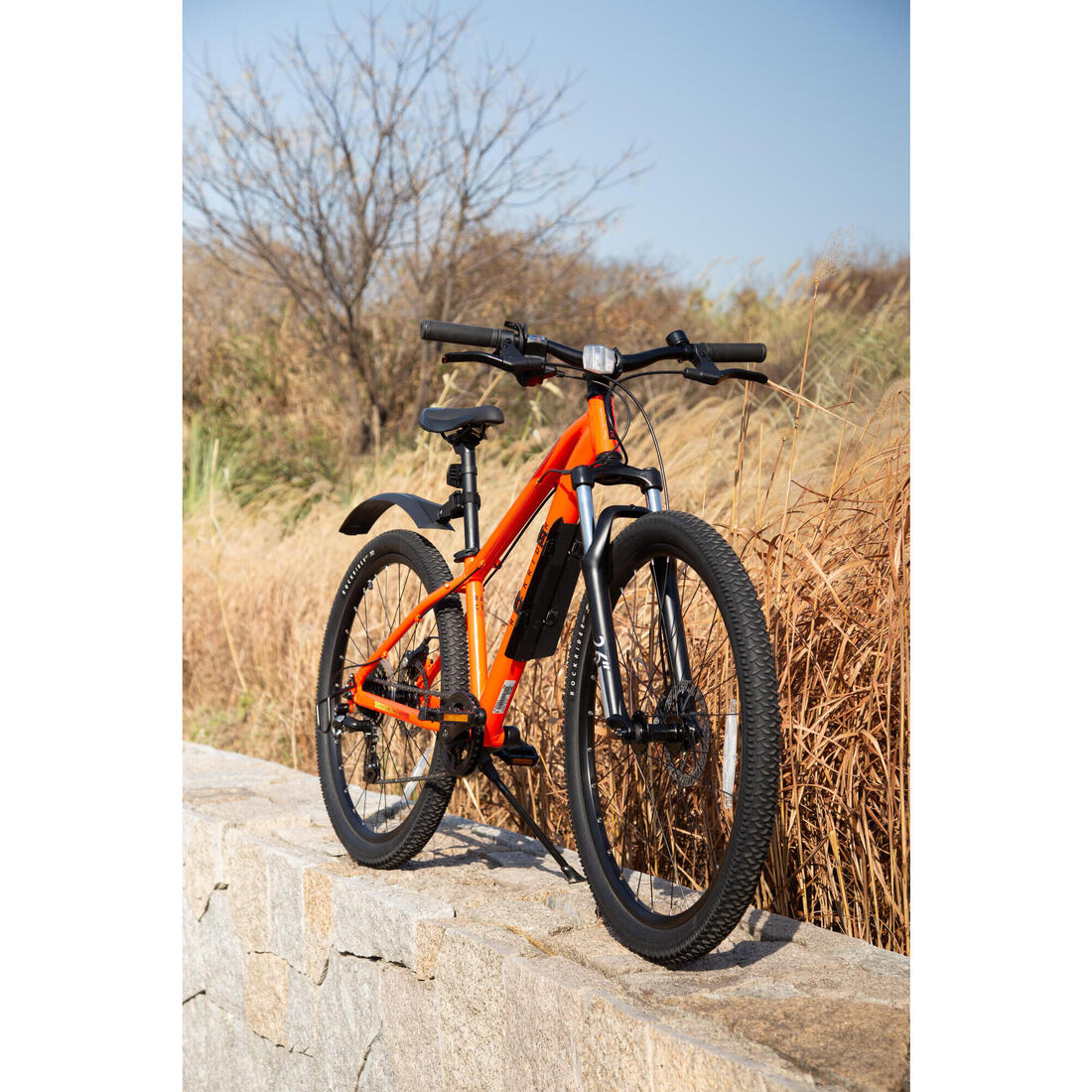 IMG_8615206_14