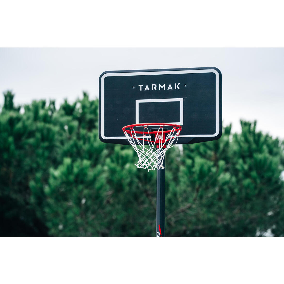 IMG_8529815_3