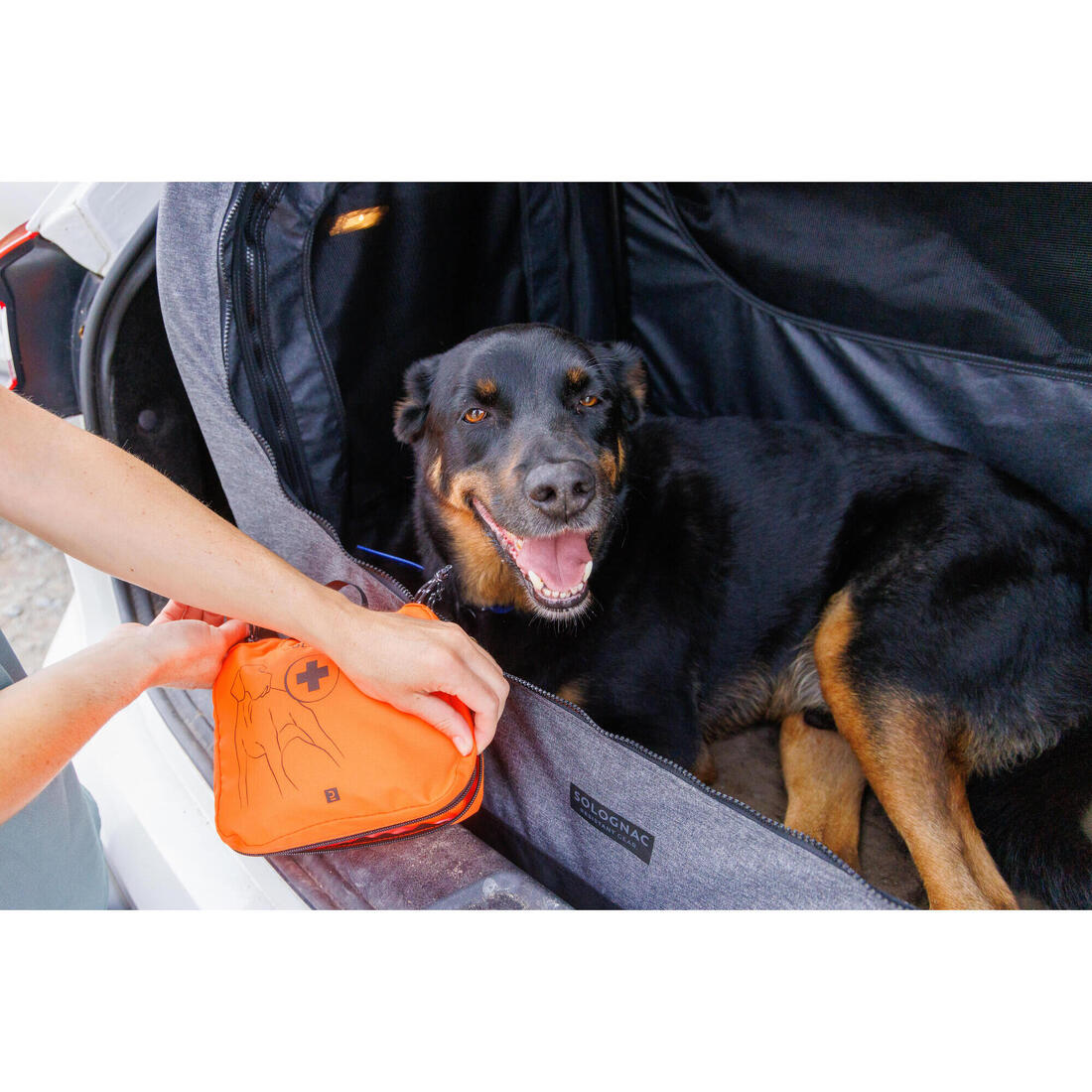 IMG_2377704