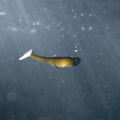 IMG_8643710_10