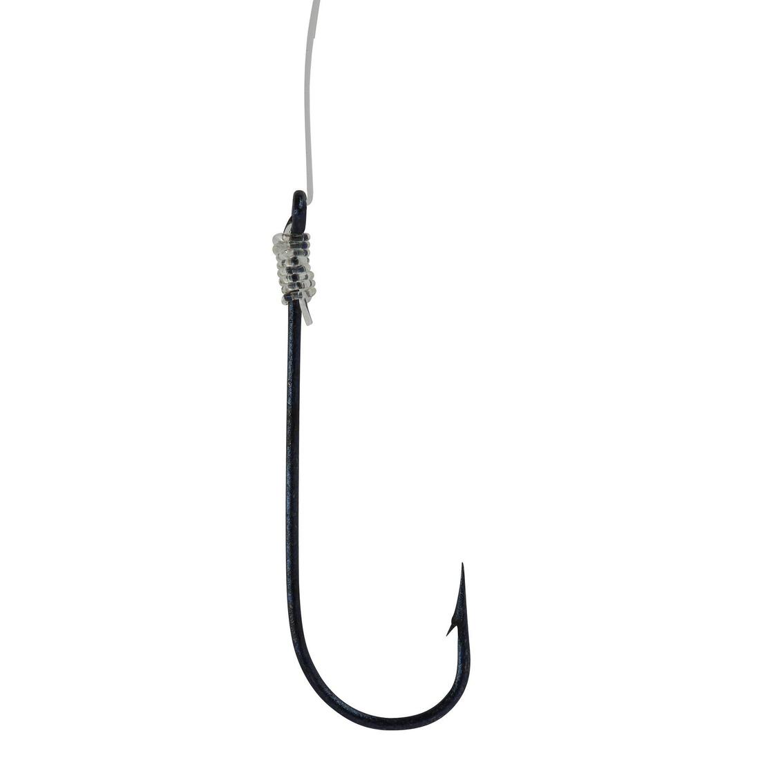 IMG_710219