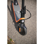 Product thumbnail 11 of 12