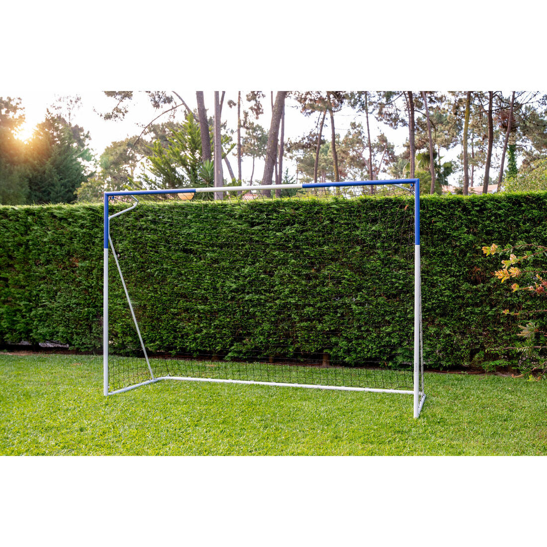 IMG_8911560_14
