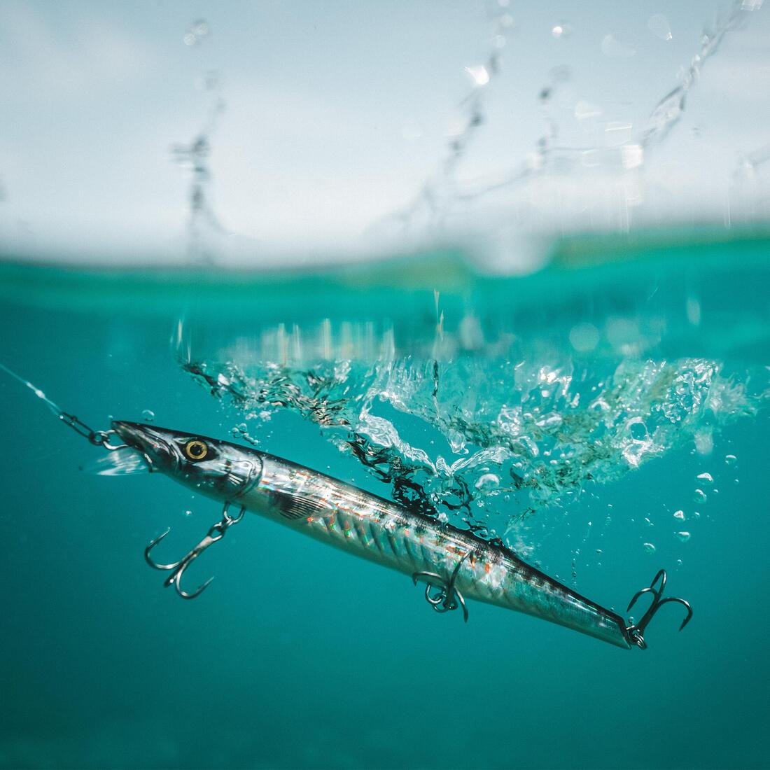 IMG_8804788_6