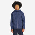 IMG_8576605_1