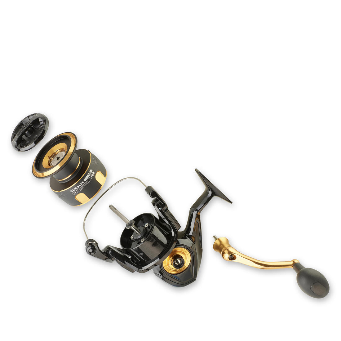 IMG_3022540