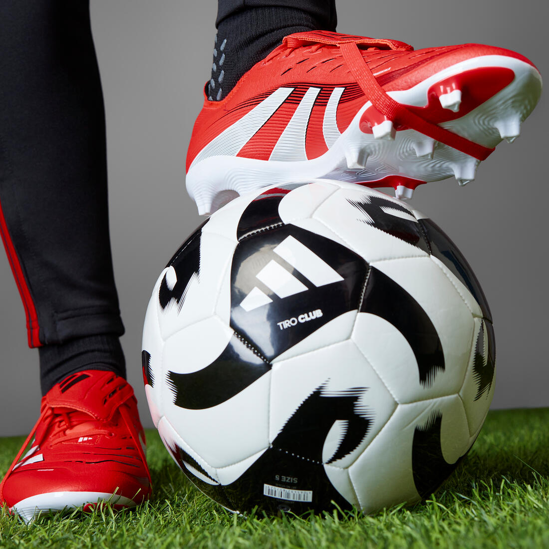 IMG_8936405_13