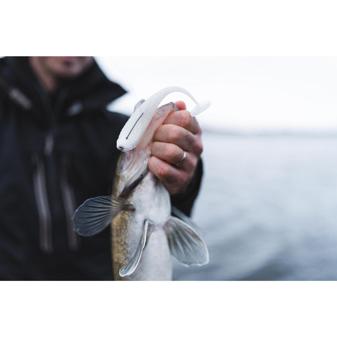 IMG_8928682_6