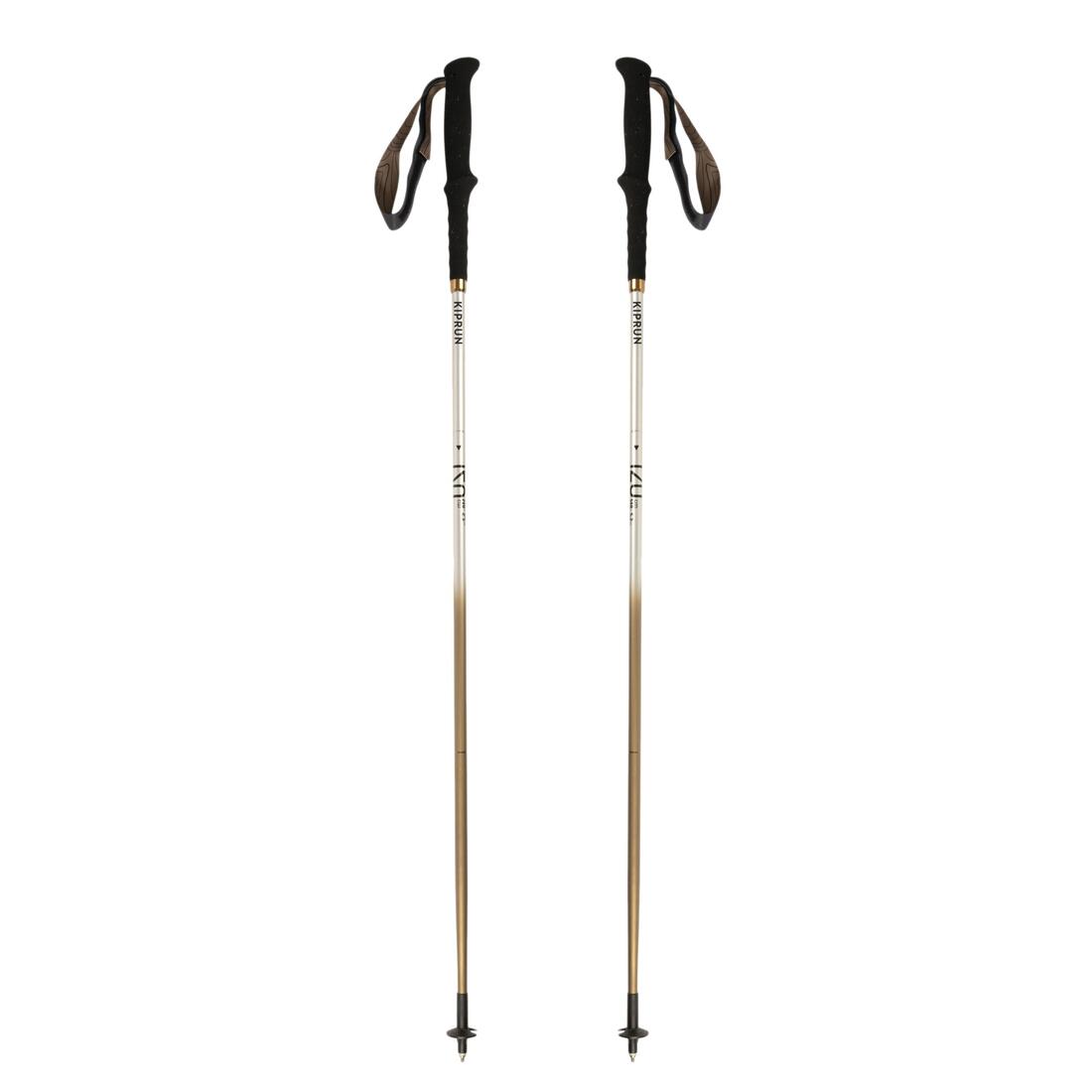 IMG_8858209_2