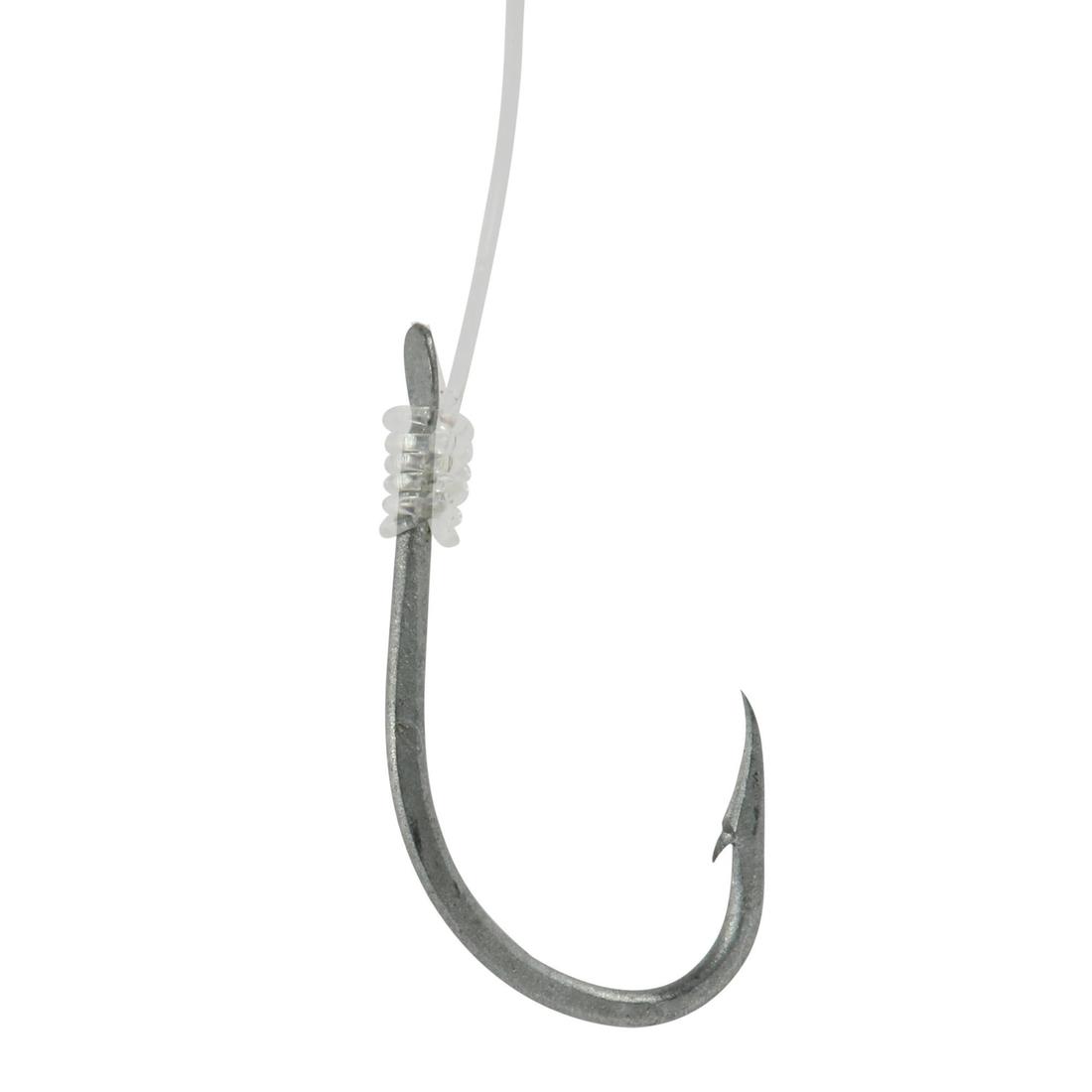 IMG_8349284_19