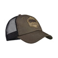 IMG_8648375_3