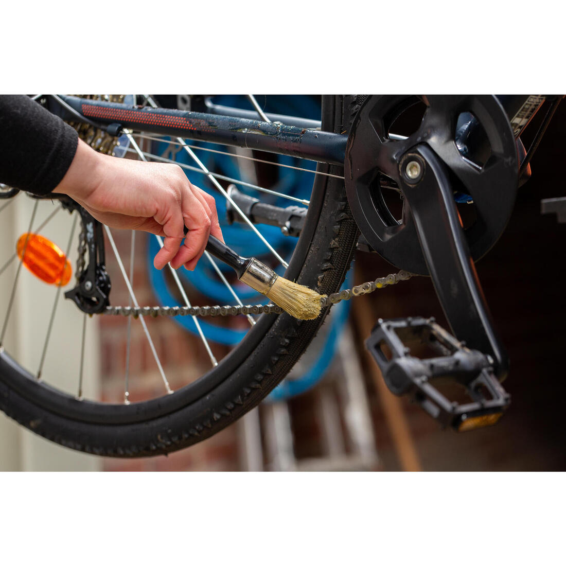 IMG_8579955_12