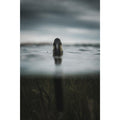 IMG_2069226