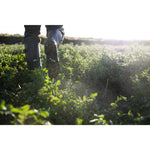 Product thumbnail 6 of 11