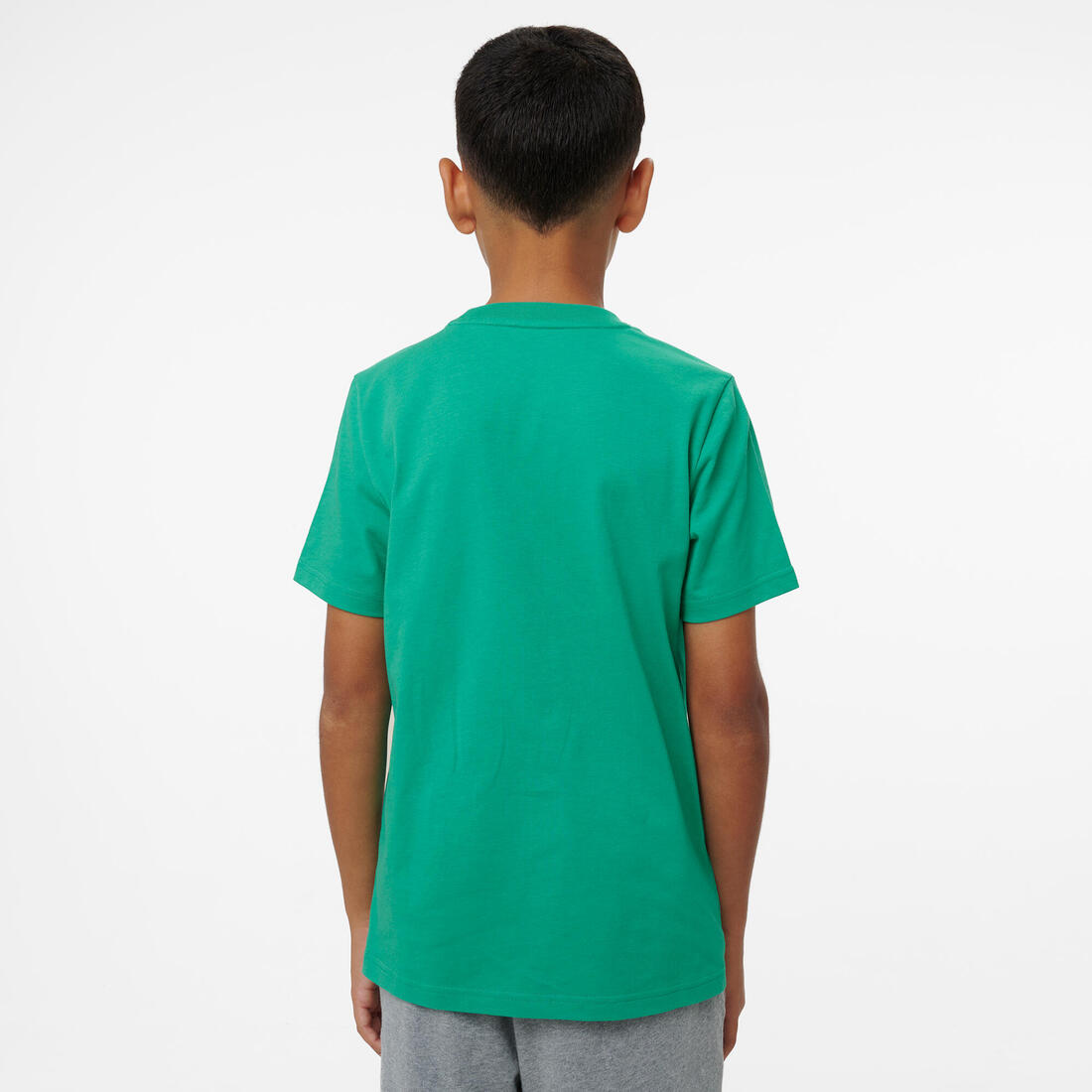 IMG_9003364_3