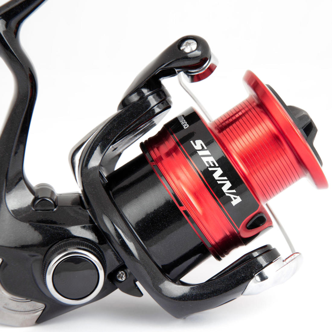 IMG_1008593886_3
