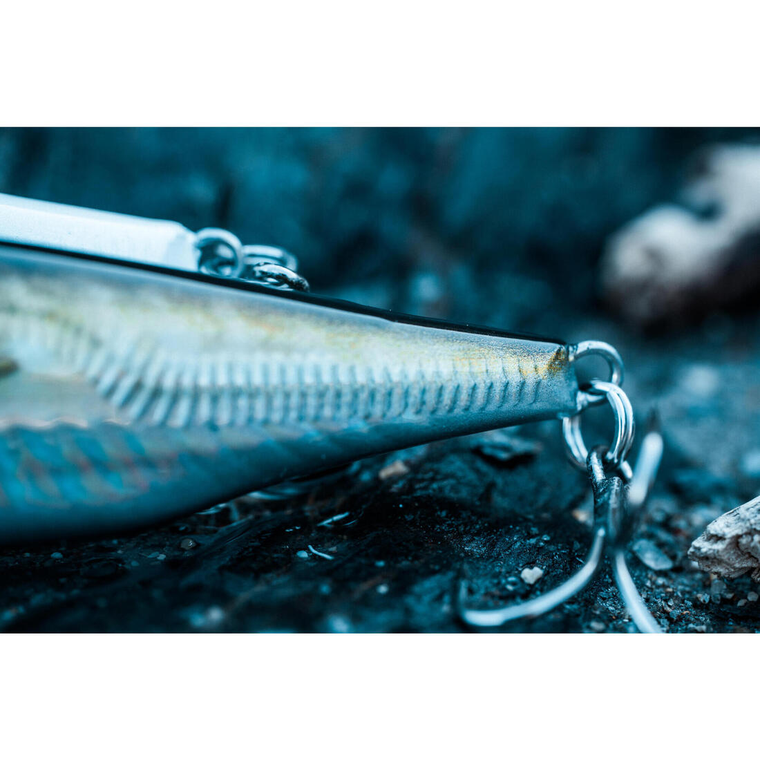 IMG_8755952_7