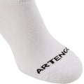IMG_8488909_11
