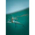 IMG_8589079_6