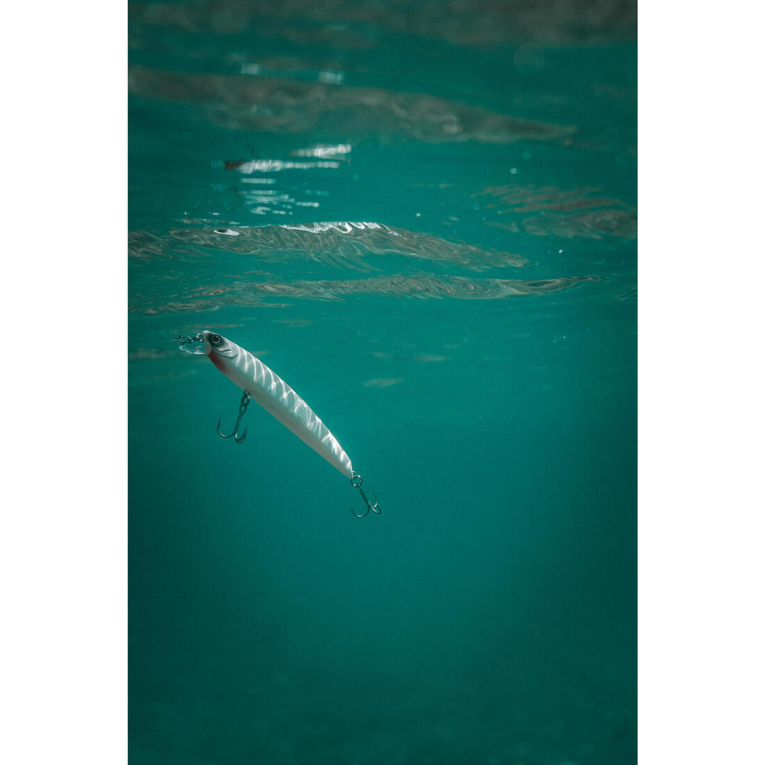 IMG_8606229_6