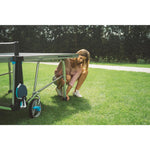 Product thumbnail 22 of 24