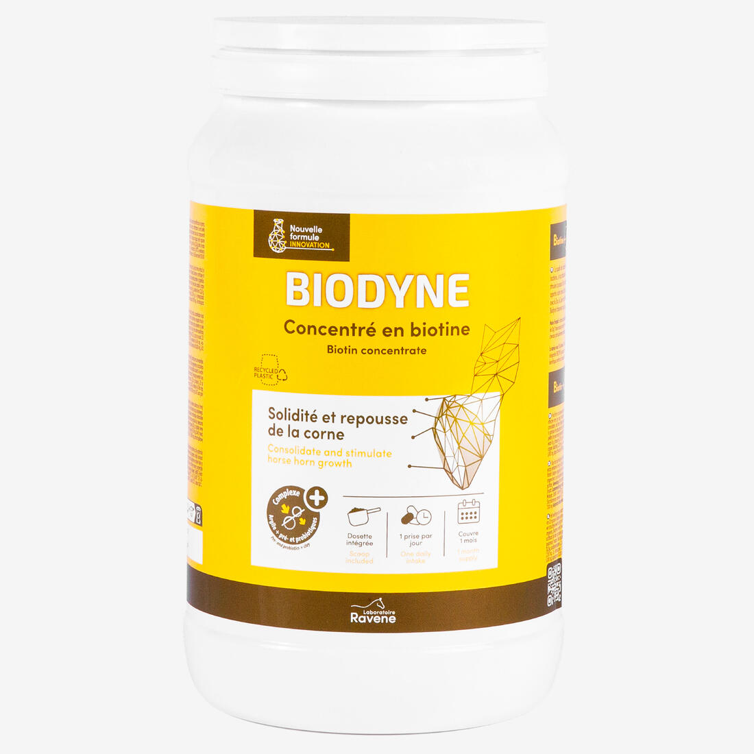 IMG_1008212584_1