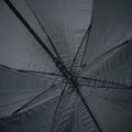 IMG_2284956