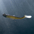 IMG_2034701
