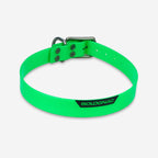 vert néon fluo