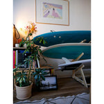 Product thumbnail 5 of 17