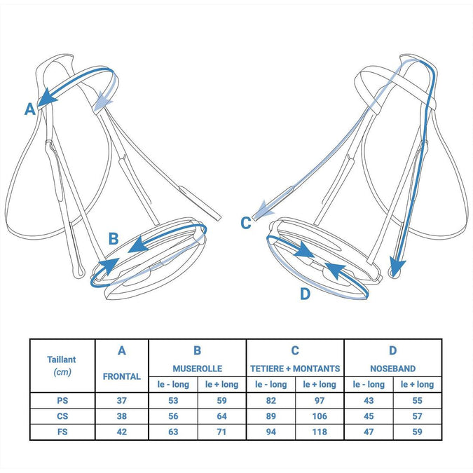 L'Anatomie de la chaussure - Elégance & Précision