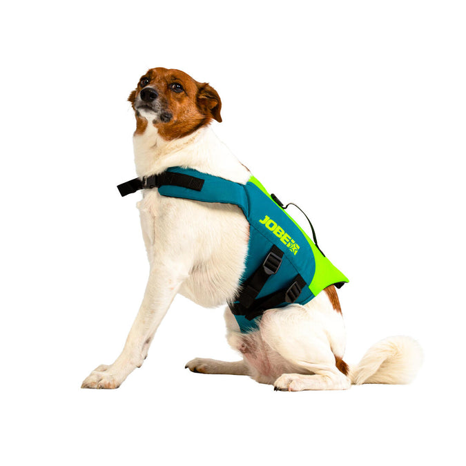 GILET DE FLOTTAISON POUR CHIEN POUR PRATIQUER LE STAND UP PADDLE KAYA Decathlon Martinique